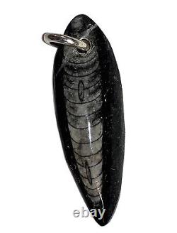 Hand Made Sterling Silver Polished Orthoceras Fossil Pendant