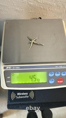 Tiffany & Co Starfish Sterling Silver 925 Brooch Pin Elsa Peretti Made In Spain