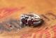 Vintage Artisan Hand Made Sterling Silver Garnet Stone Ring 6.6 g Size 7.5